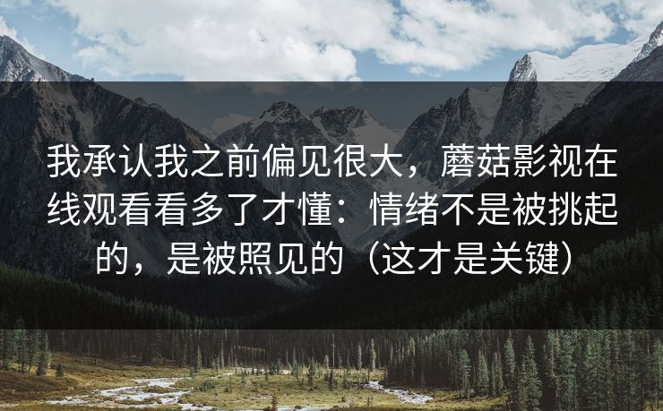 我承认我之前偏见很大，蘑菇影视在线观看看多了才懂：情绪不是被挑起的，是被照见的（这才是关键）