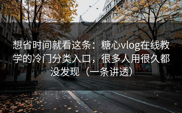 想省时间就看这条：糖心vlog在线教学的冷门分类入口，很多人用很久都没发现（一条讲透）